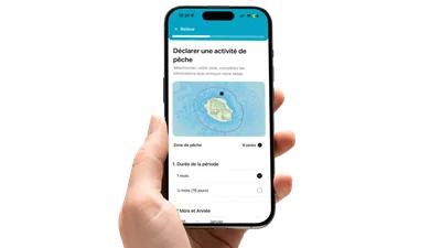 Application mobile présentée sur smartphones