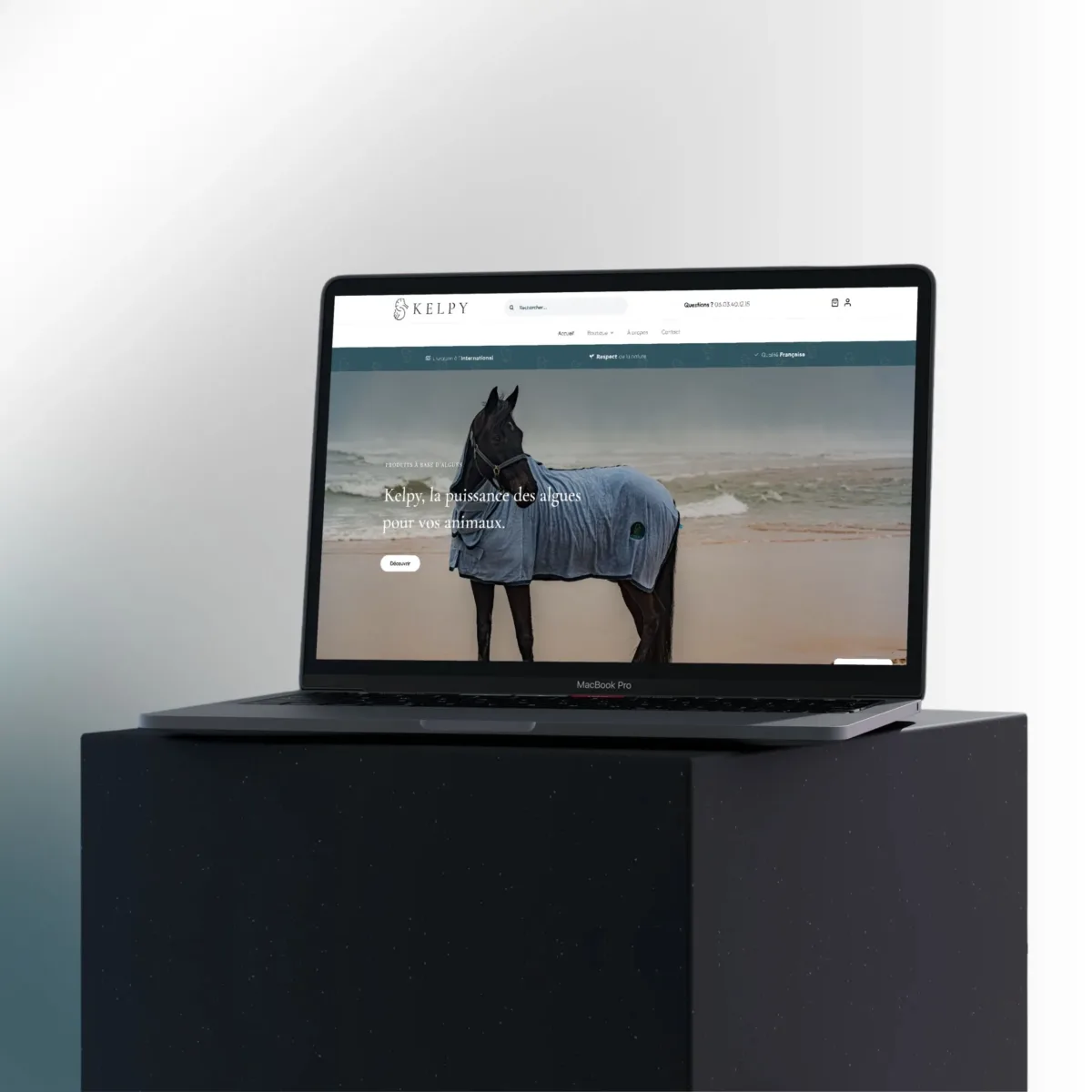 Présentation de la boutique en ligne Kelpy