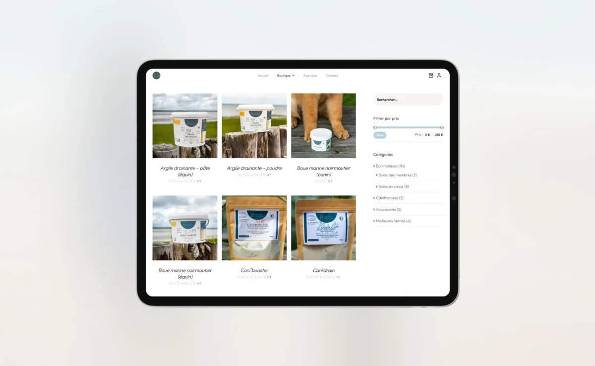 Présentation responsive des soins Kelpy Thalasso